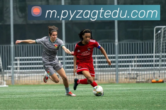 pg官网平台生态图